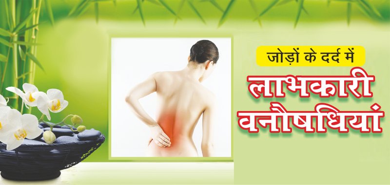 जोड़ों के दर्द में लाभकारी वनौषधियां