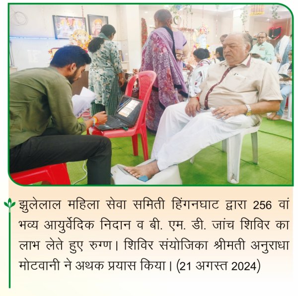 Jhulelal Mahila Seva Hinganghat